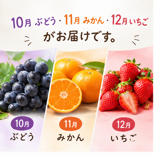 フルーツギフト（バリエーションテスト商品）